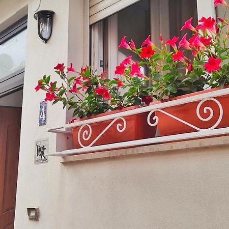 Casa Poseidonia Hotel กาปรี ภายนอก รูปภาพ